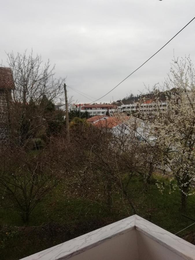 Hospedaria Nunes Pinto Termas de Sao Pedro do Sul Dış mekan fotoğraf